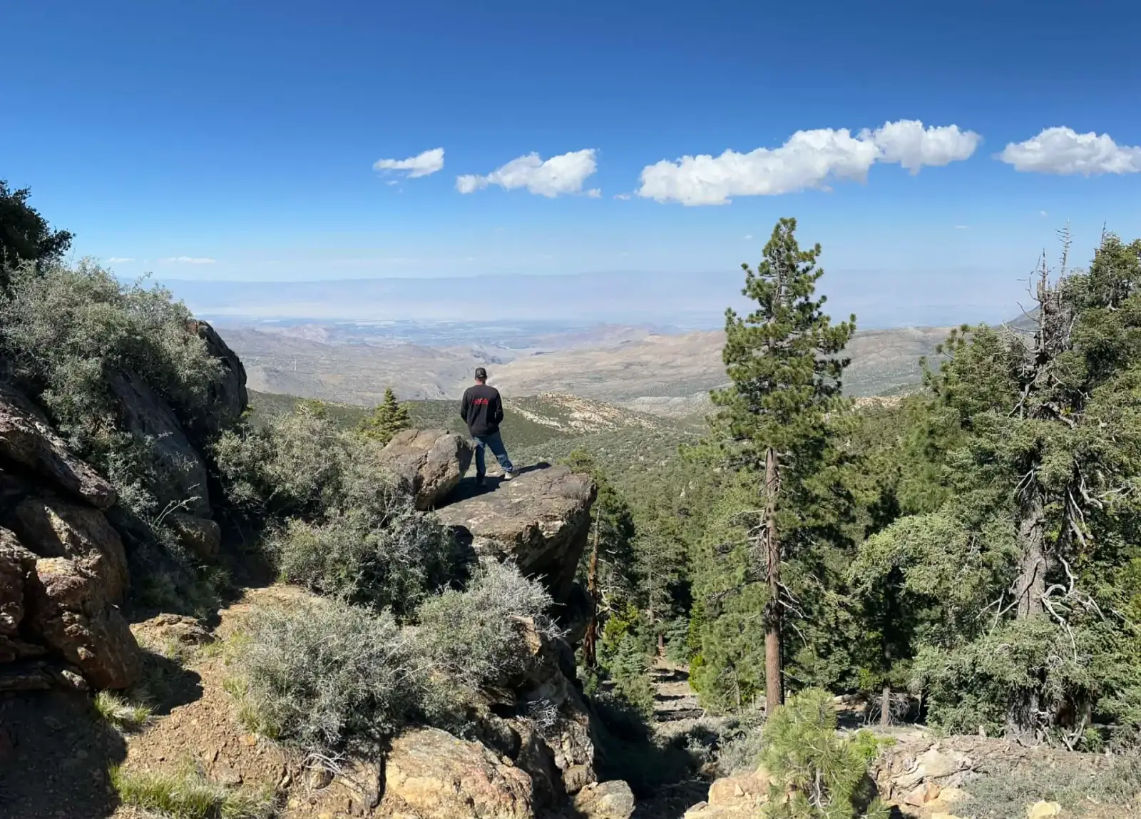 Peaks & Pines